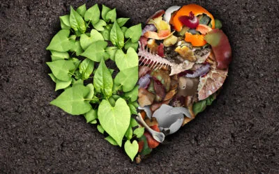 Quale differenza tra biodegradabile e compostabile?